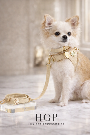 Novalie Dune Step In Dog Harness