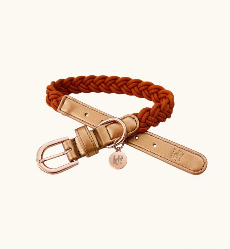 婴儿粉编织狗项圈