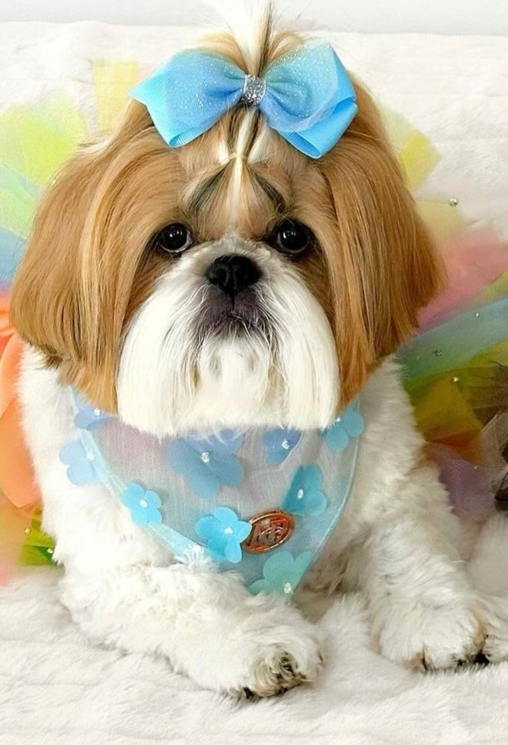 Little Fleur Scarf