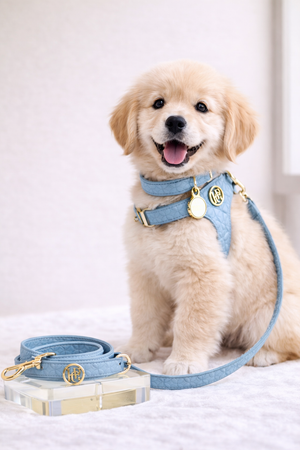 午夜系列宠物狗背带