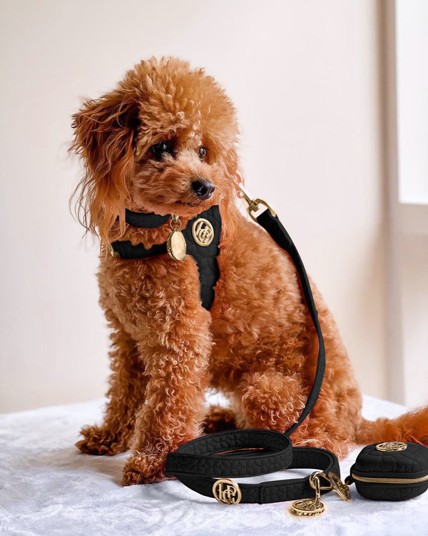 Novalie Jet Step In Dog and Cat Harness