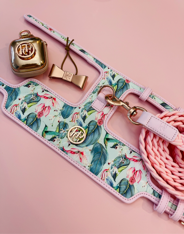 The ‘Hummingbird’ Dog Harness