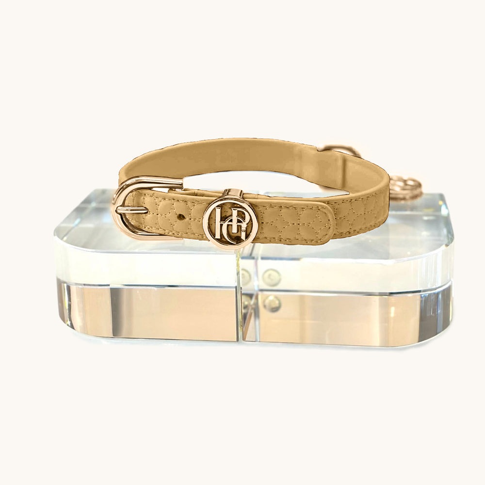 Novalie Dune Dog Collar