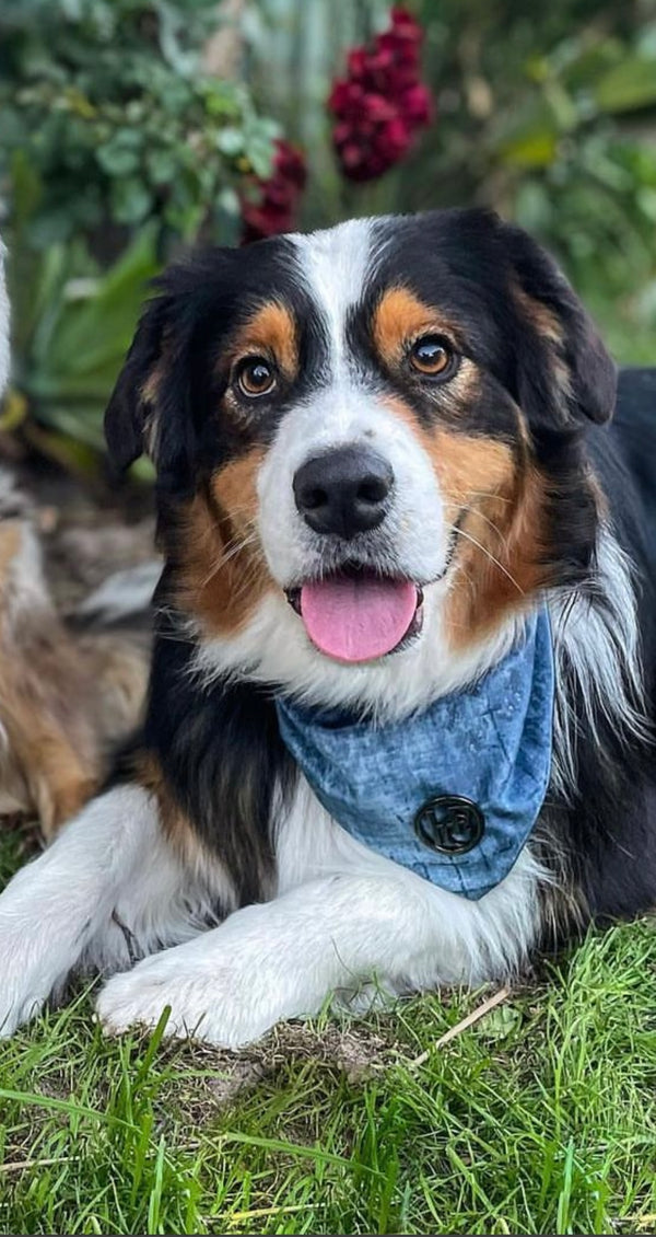 Atlantis Scarf