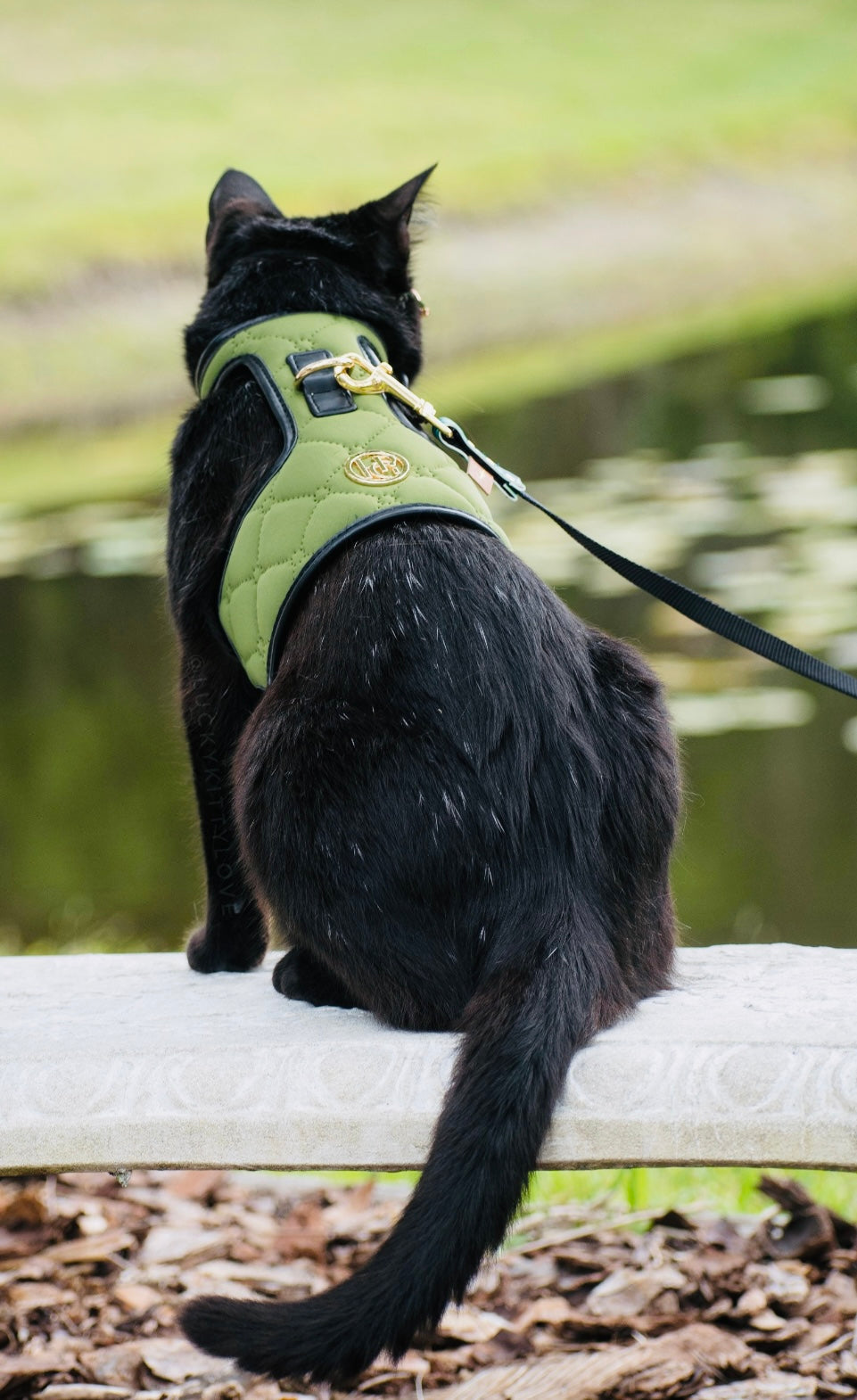 Khaki Dog Harness