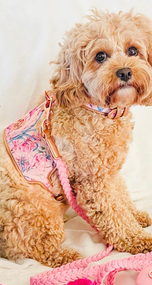 Lady Dog Harness