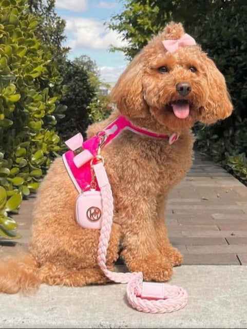 The 'Fuchsia' Dog Harness