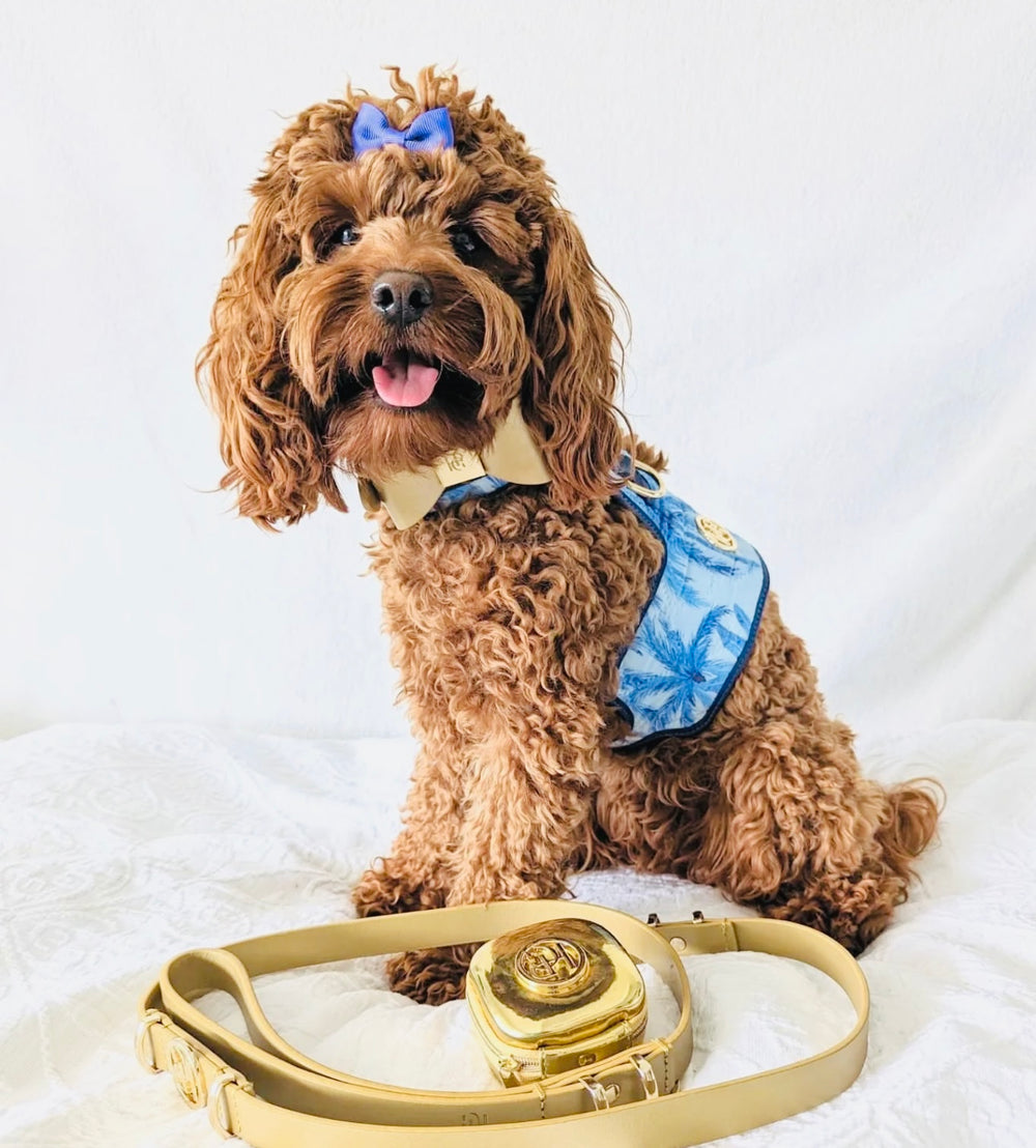 Palms Dog Harness