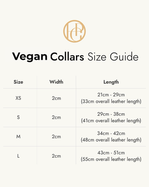 Novalie Jet Dog Collar