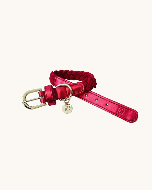 婴儿粉编织狗项圈