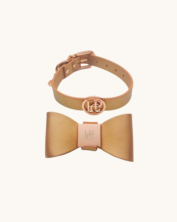 Cinnamon Leather Bow Dog Collar