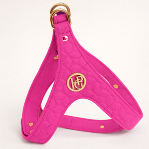 Novalie Lipstick Step In Dog Harness