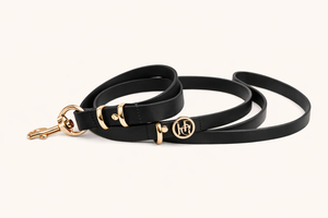 Midnight Leather Dog Lead