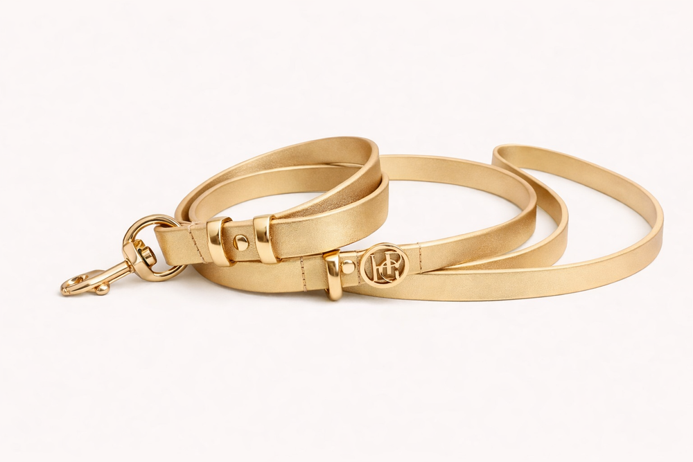 Champagne Leather Dog Lead