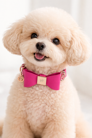 Lipstick Leather Bow Dog Collar