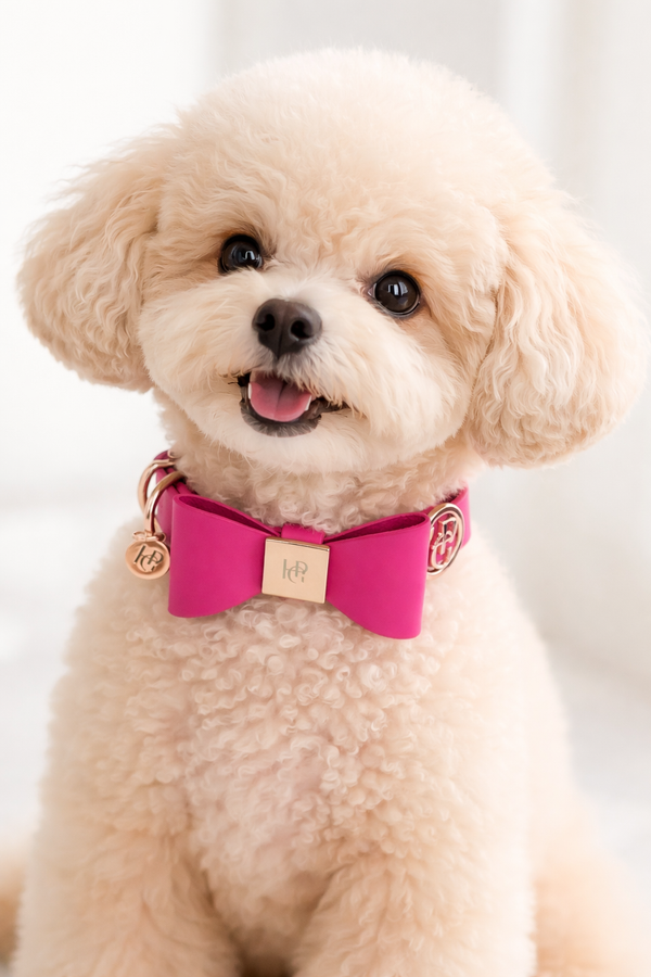 Lipstick Leather Bow Dog Collar