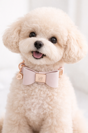 皮革领结-嫩粉红