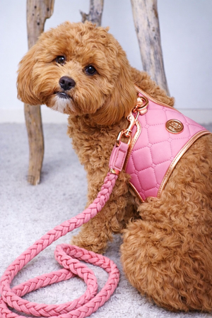Peony Dog Harness