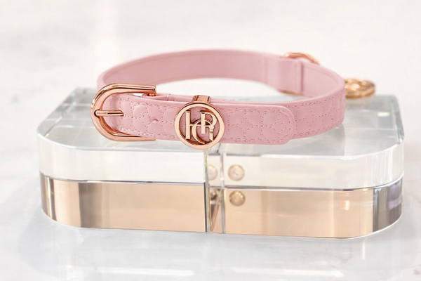 婴儿粉编织狗项圈