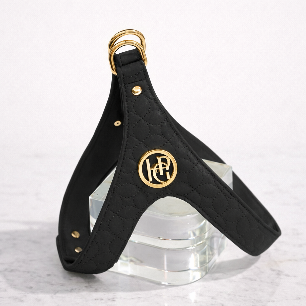 Novalie Jet Step In Dog and Cat Harness