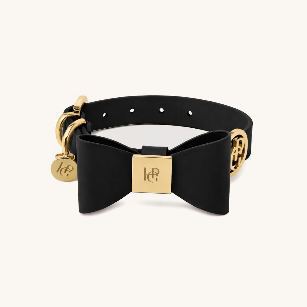 皮革蝴蝶结领子-午夜