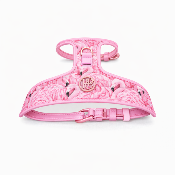 Flock Of Flamingo Dog Harness