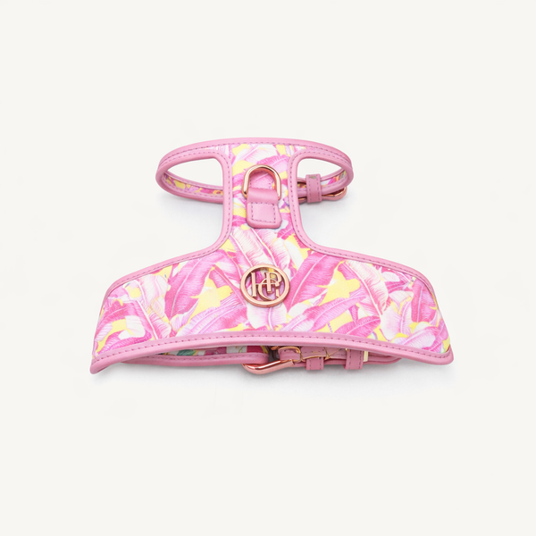 Birds Of A Feather Dog Harness