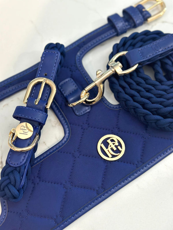 The 'Indigo' Dog Harness