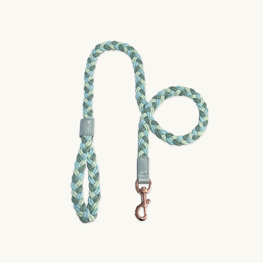 Aquamarine Plaited Dog Lead