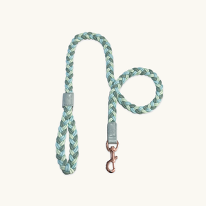 Aquamarine Plaited Dog Lead