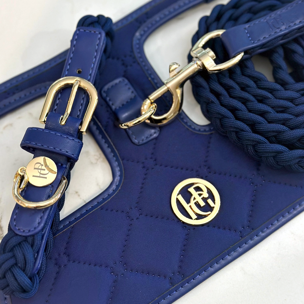 Indigo Blue leather harness with gold hardware and logo on a white background