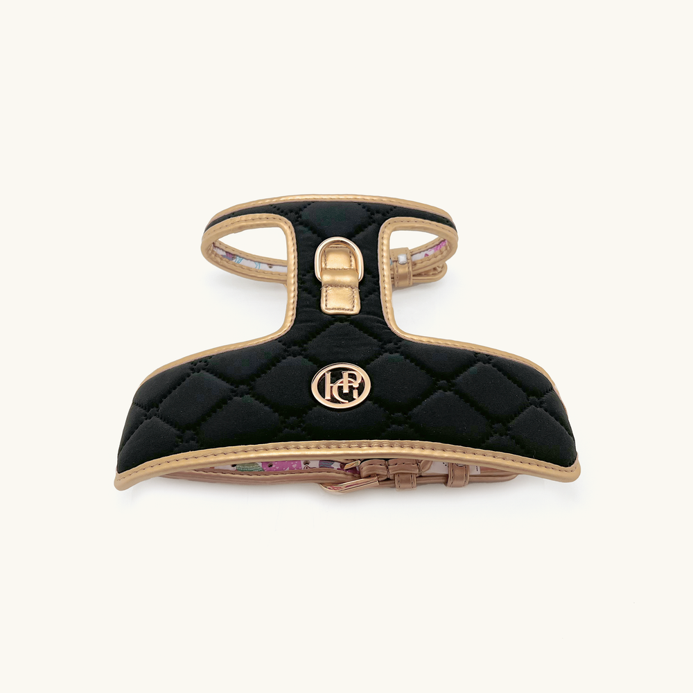 Midnight Black quilted dog harness with gold accents 