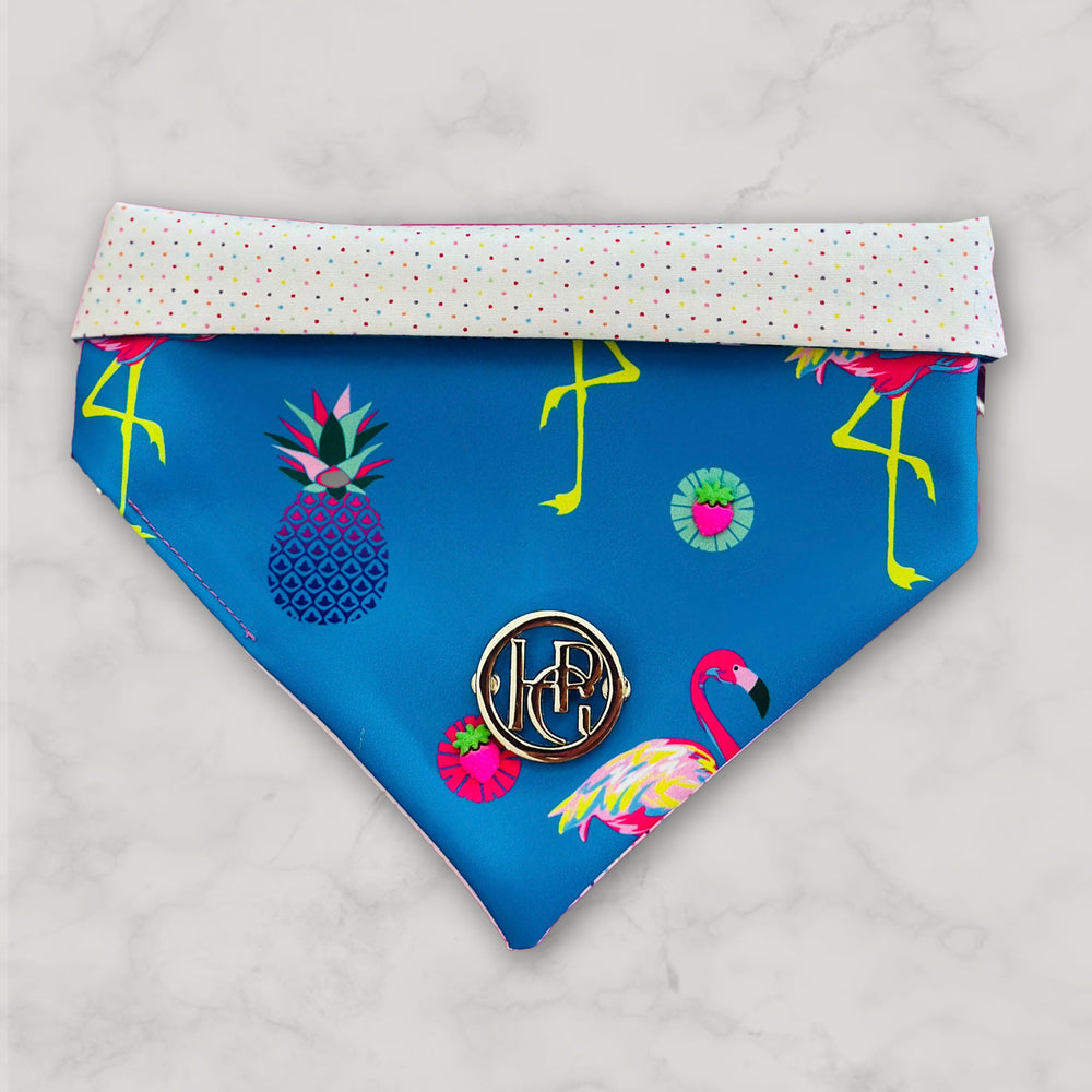 Pineapple Paradise Scarf