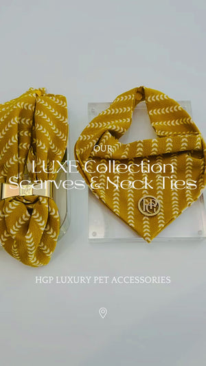 Braids of Gold Scarf