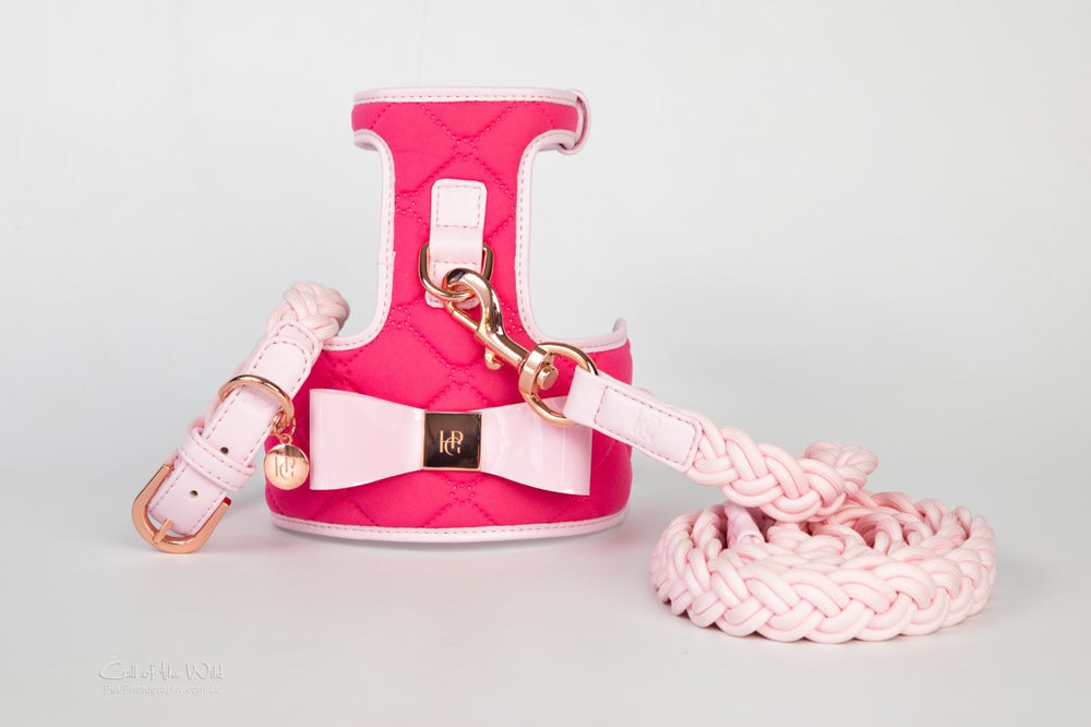 Fuchsia Dog Harness
