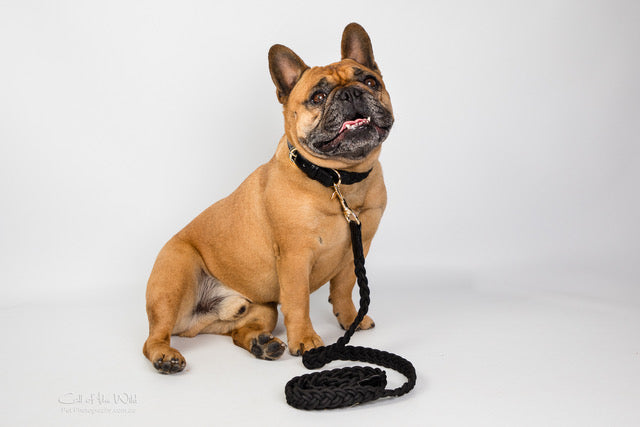 Midnight Black Plaited Dog Collar