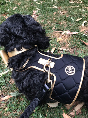 Midnight Dog Harness