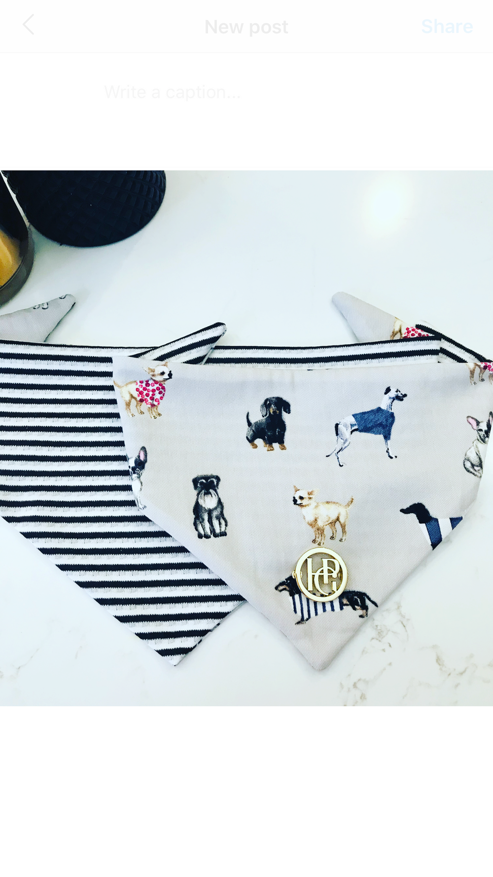 Pups United Scarf