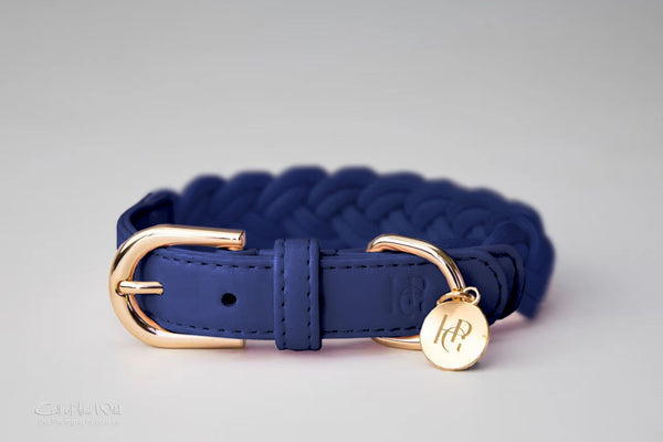 Dog Collar Indigo Blue