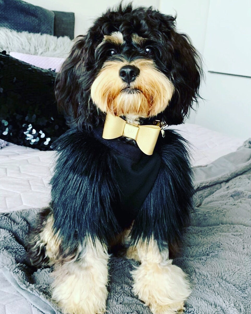 Champagne Leather Bow Dog Collar