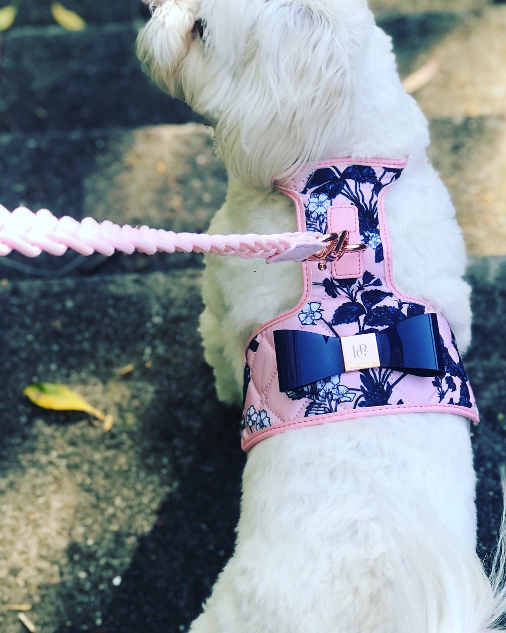 Blossom Dog Harness