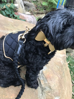 Midnight Dog Harness