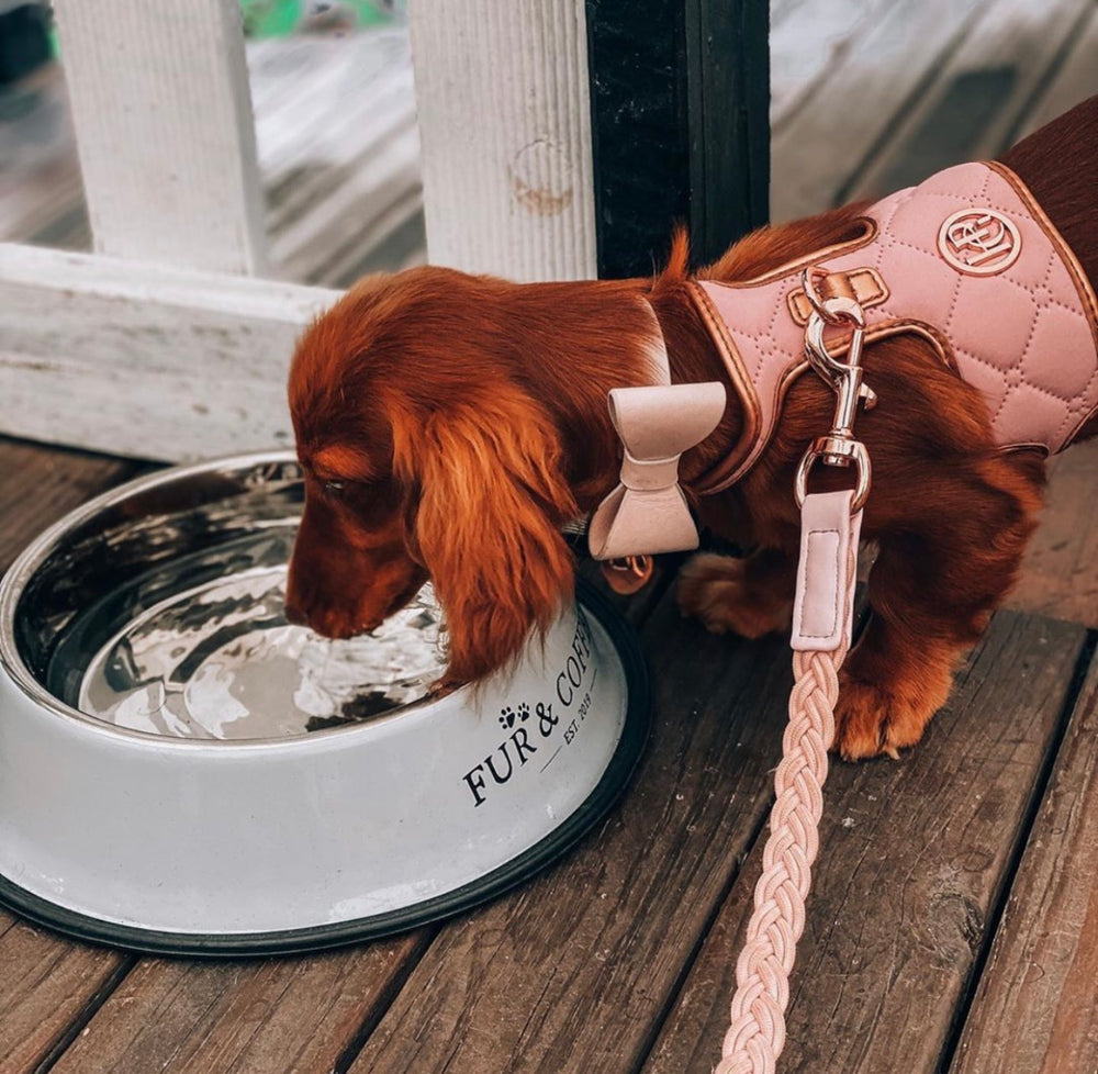 Blush Leather Bow Dog Collar