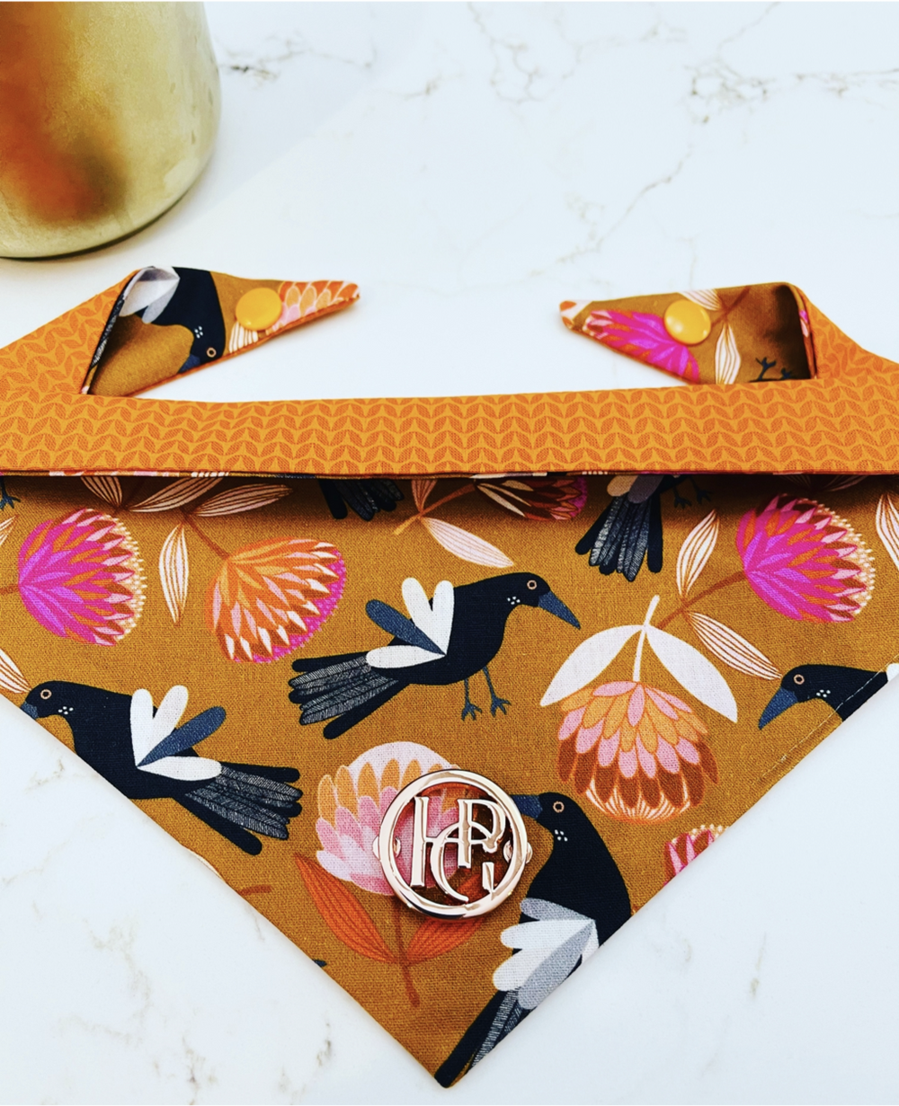 Maggie Scarf