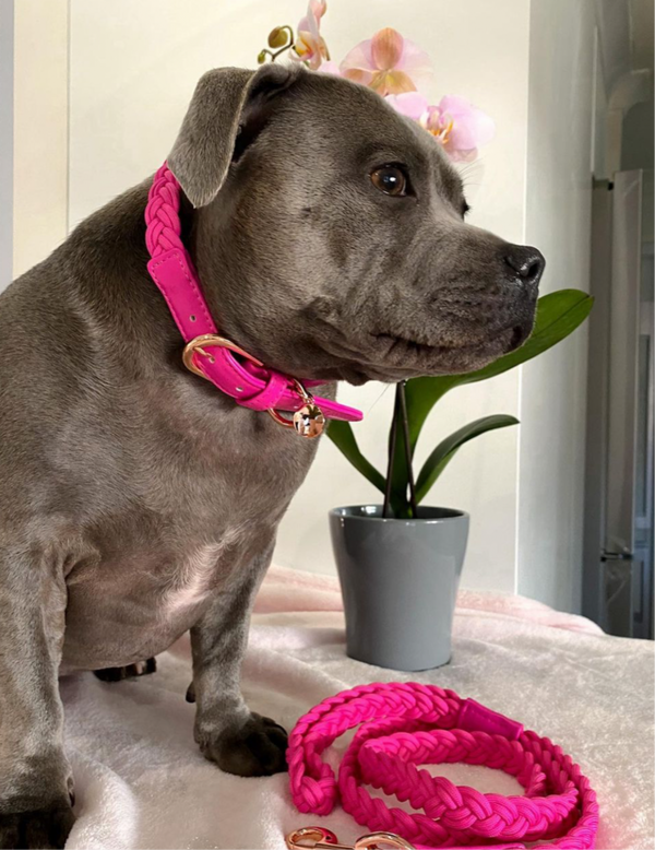 Lipstick Pink Dog Collar