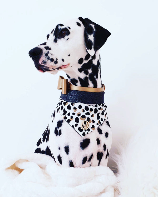 Champagne Leather Bow Dog Collar