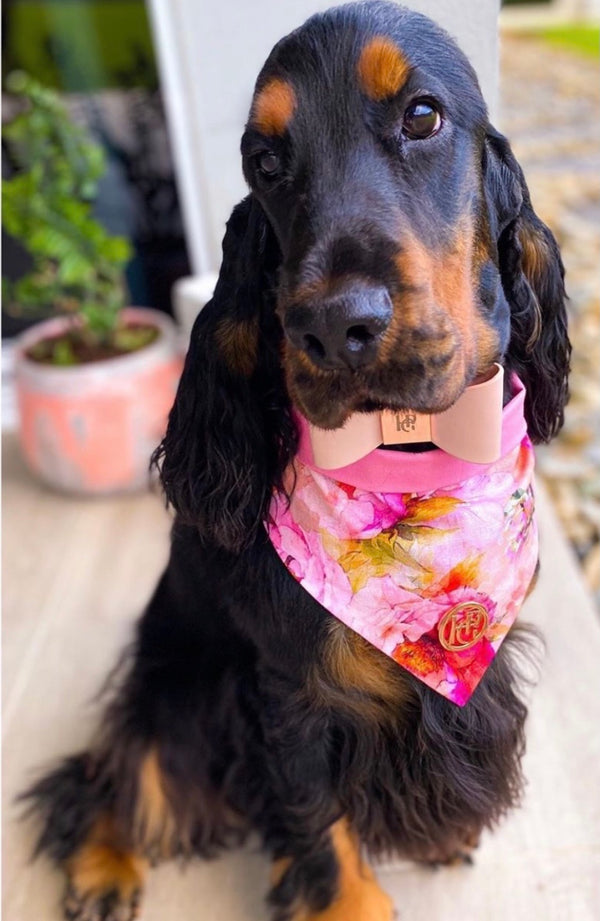 Bouquet Scarf