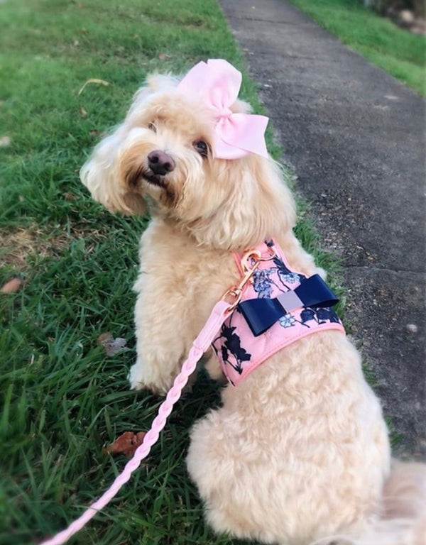 Blossom Dog Harness