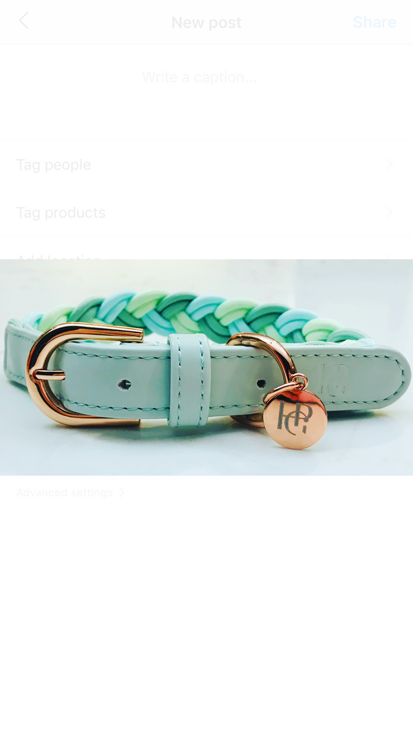 Dog Collar Aquamarine Plaited