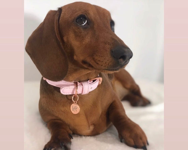 Baby Pink Plaited Dog Collar